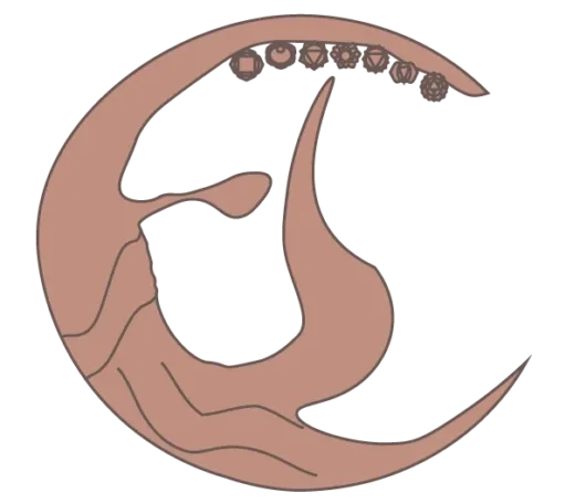 eveilspirit logo